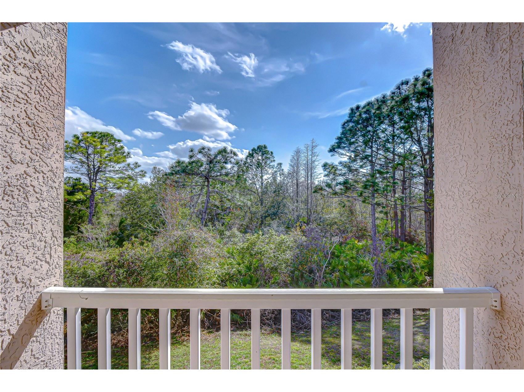 10409 Villa View Circle #10409 Tampa FL 33647 TB8478452 image36