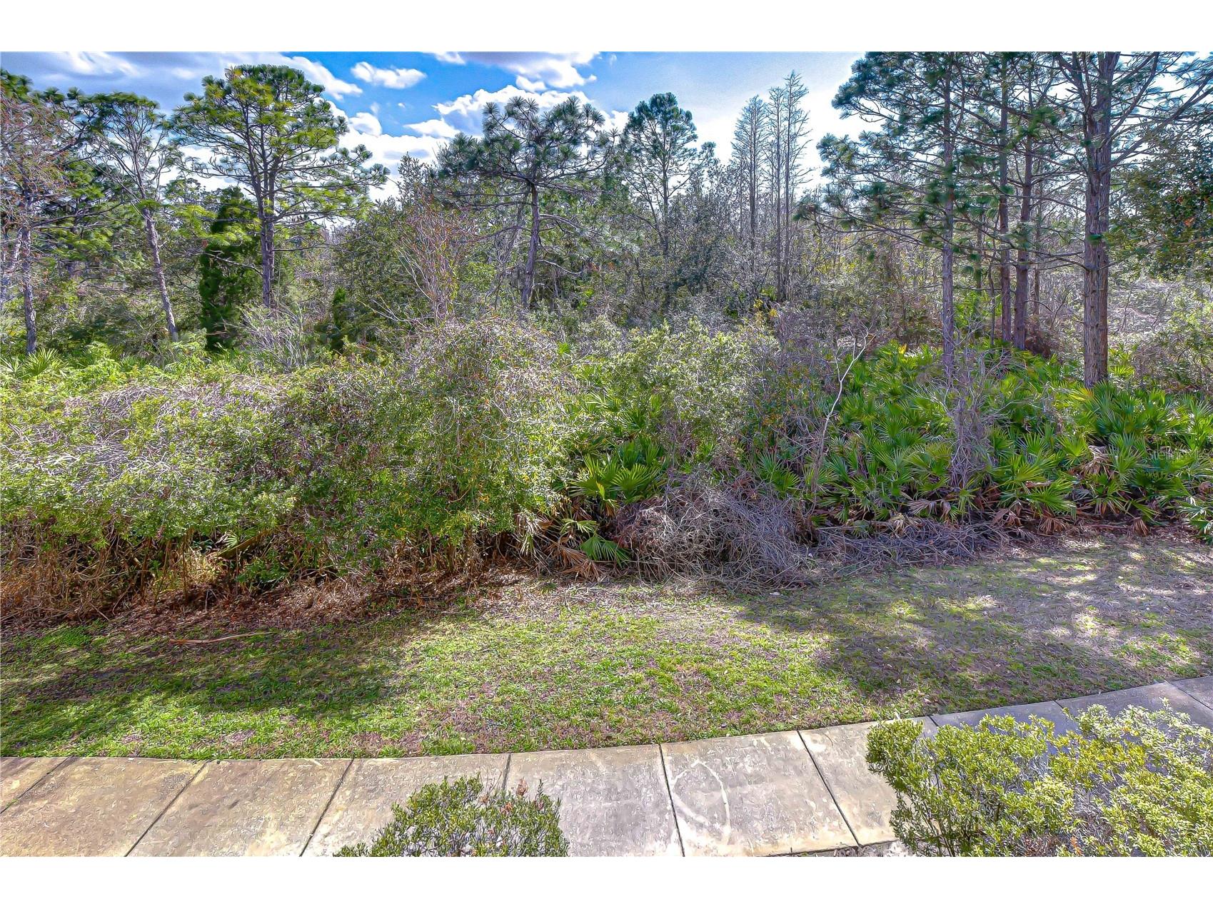 10409 Villa View Circle #10409 Tampa FL 33647 TB8478452 image37