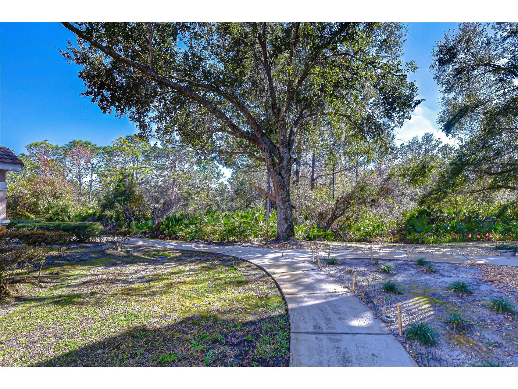 10409 Villa View Circle #10409 Tampa FL 33647 TB8478452 image38