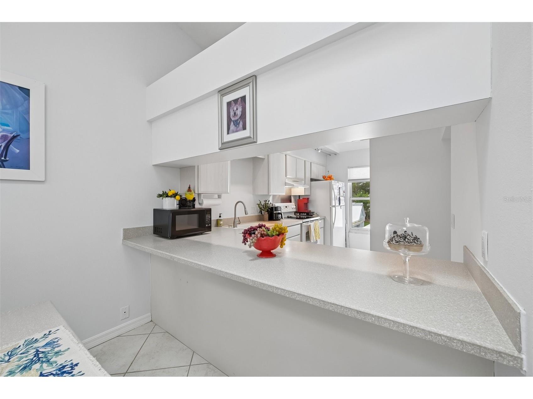 1041 Capri Isles Boulevard #209 Venice FL 34292 A4696593 image15
