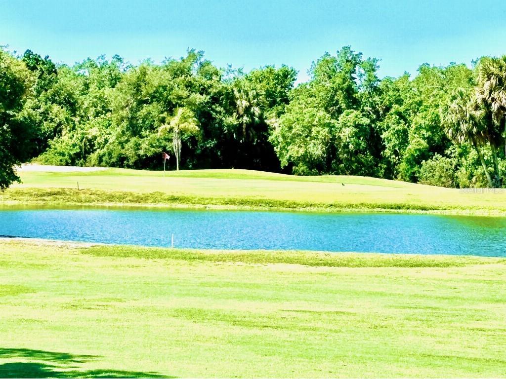 1041 Capri Isles Boulevard #219 Venice FL 34292 TB8451133 image3