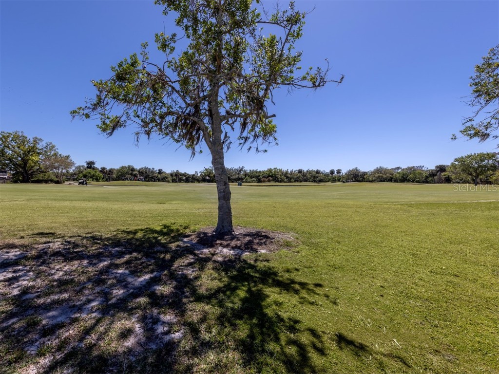 1041 Capri Isles Boulevard #224 Venice FL 34292 N6137965 image25