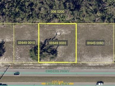 1041 Embers Parkway W Cape Coral FL 33993 D6130736 image1
