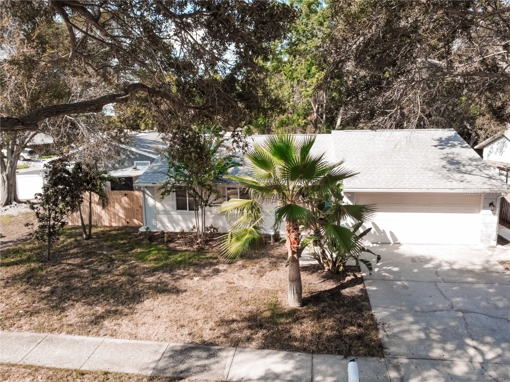 1041 Forest Grove Boulevard Palm Harbor FL 34683 T3518390 image1
