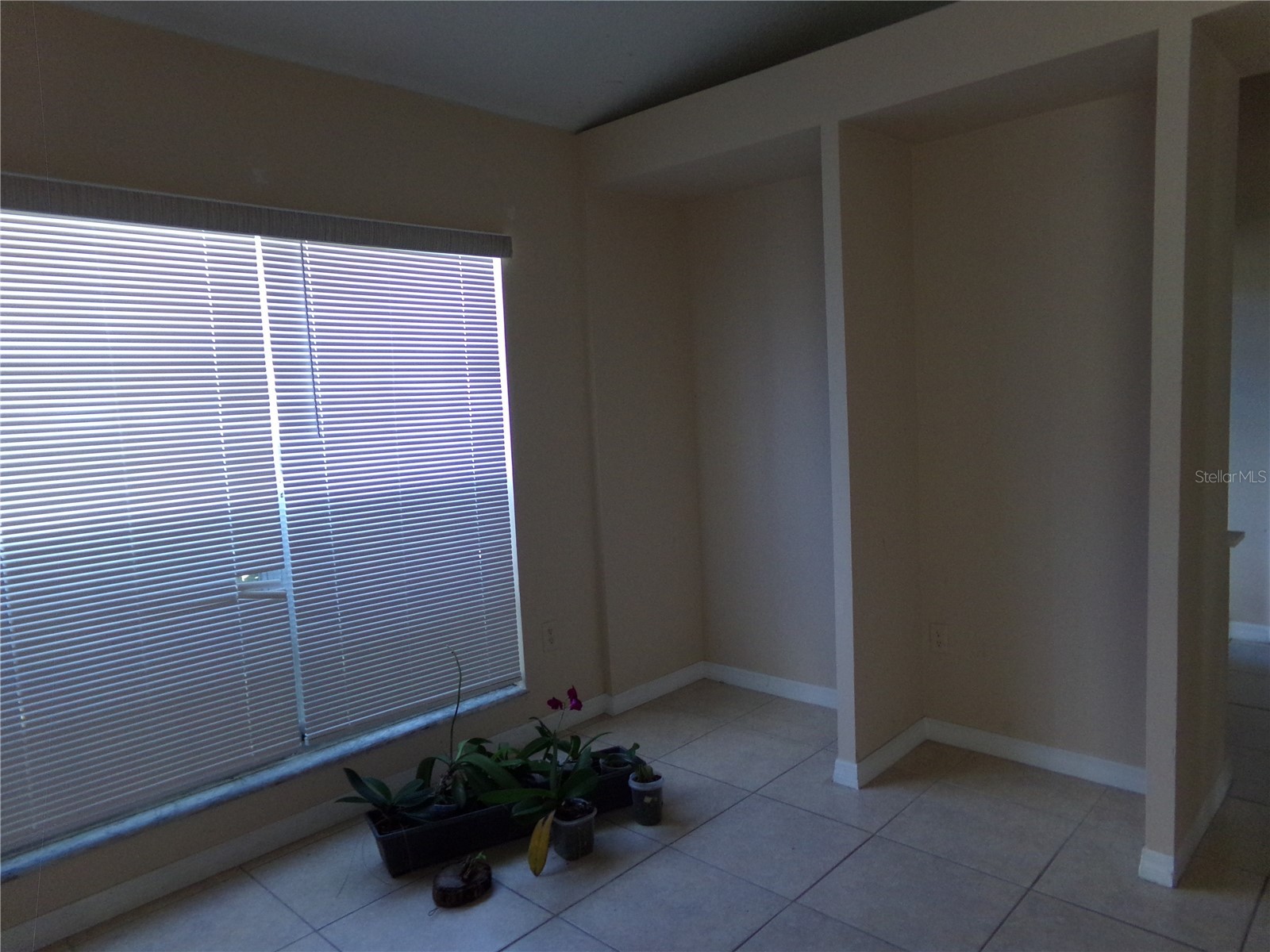 1041 Kelsey Ave Oviedo FL 32765 O6400525 image5