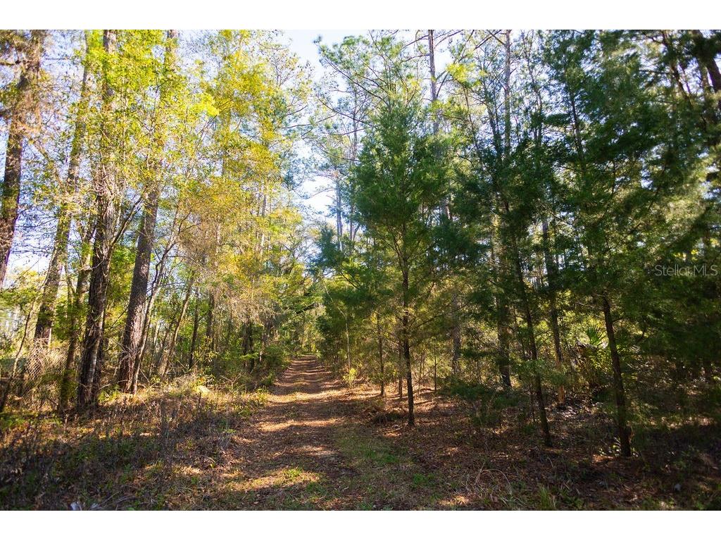 1041 NE 6th Boulevard Williston FL 32696 OM721101 image33