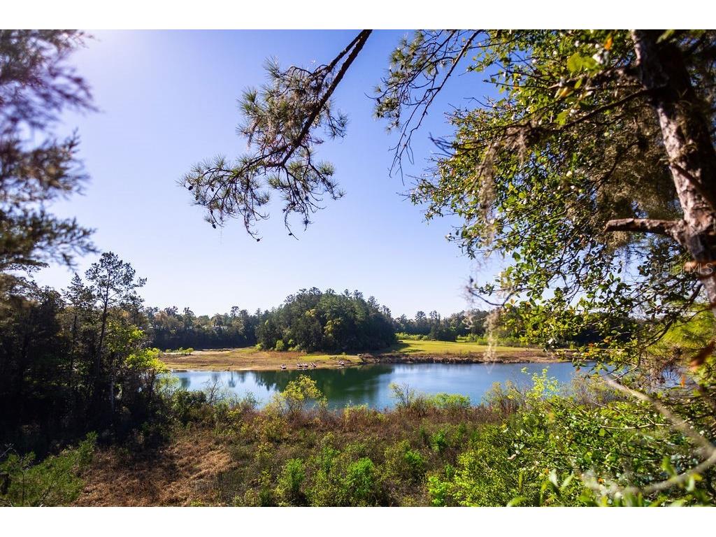 1041 NE 6th Boulevard Williston FL 32696 OM721101 image39