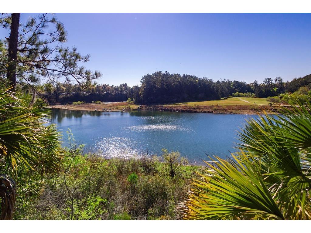 1041 NE 6th Boulevard Williston FL 32696 OM721101 image41