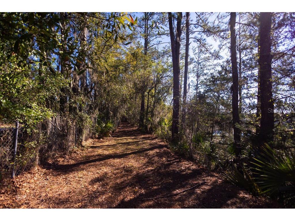 1041 NE 6th Boulevard Williston FL 32696 OM721101 image42