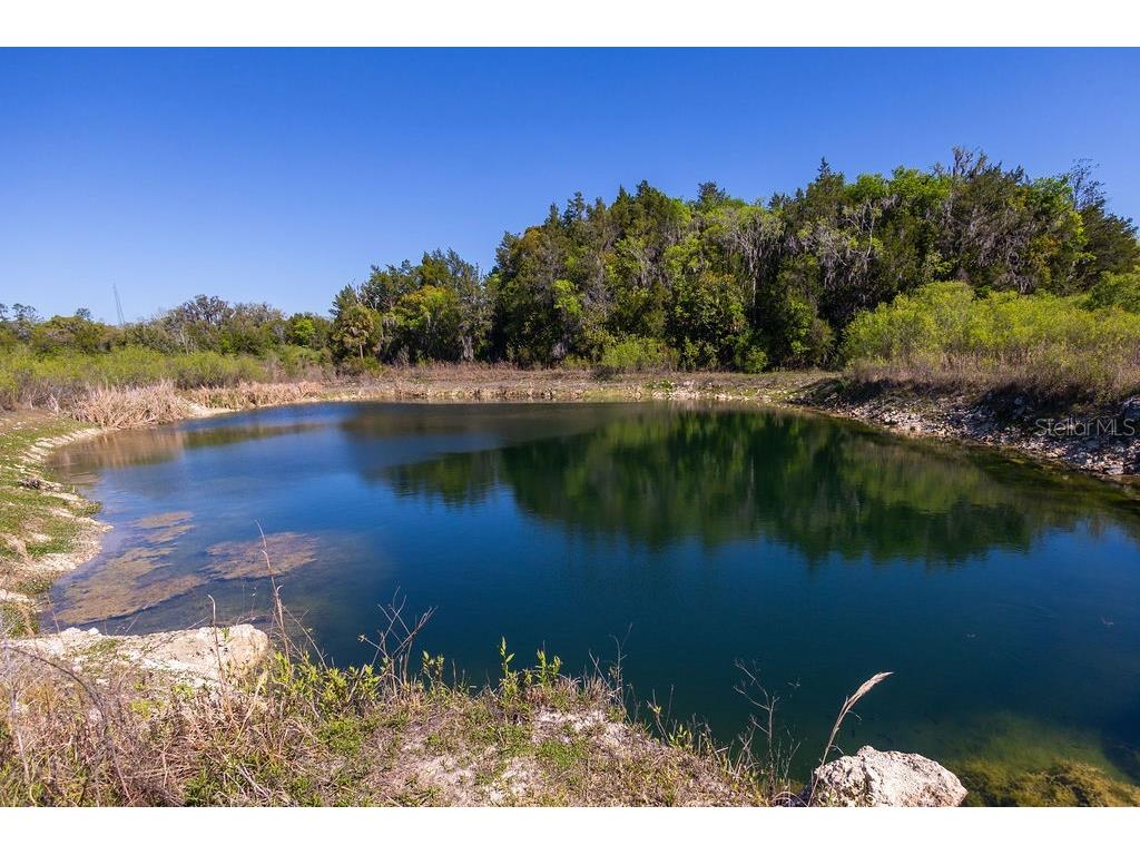 1041 NE 6th Boulevard Williston FL 32696 OM721101 image48