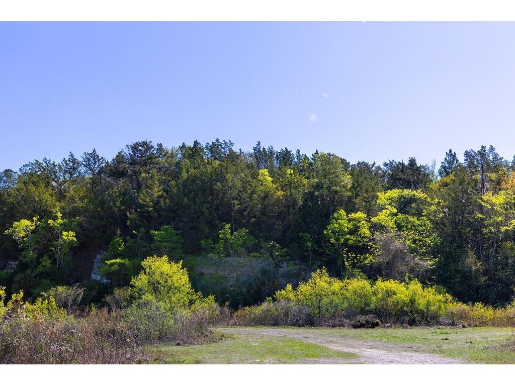 1041 NE 6th Boulevard Williston FL 32696 OM721101 image50