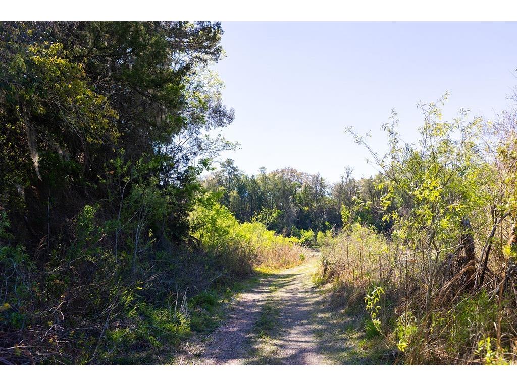 1041 NE 6th Boulevard Williston FL 32696 OM721101 image51