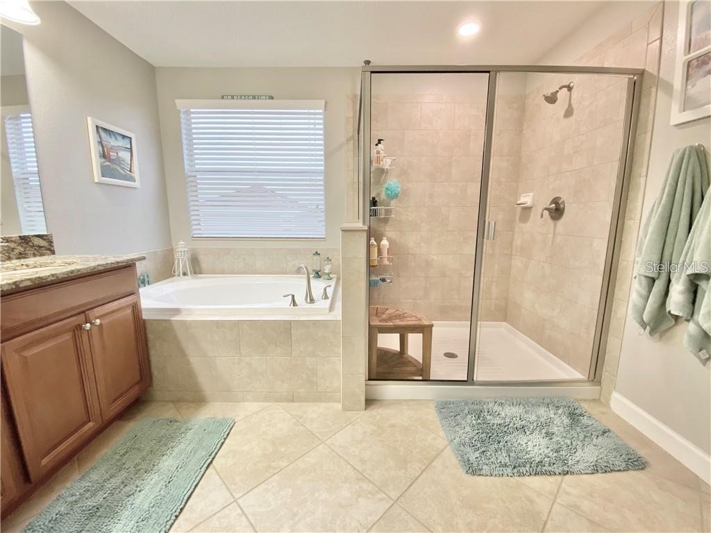 1041 Oliveto Verdi Court Brandon FL 33511 TB8504641 image18
