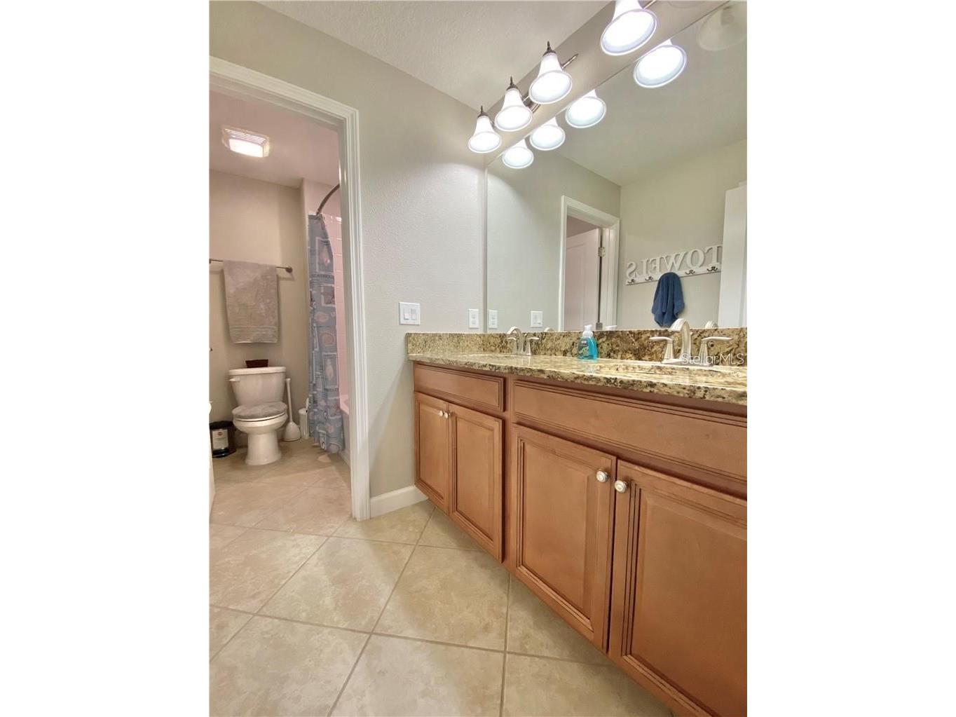 1041 Oliveto Verdi Court Brandon FL 33511 TB8504641 image20