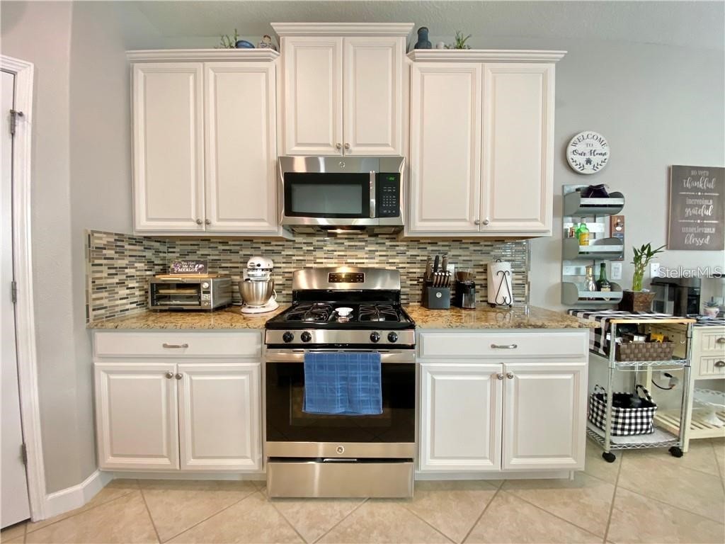 1041 Oliveto Verdi Court Brandon FL 33511 TB8504641 image7