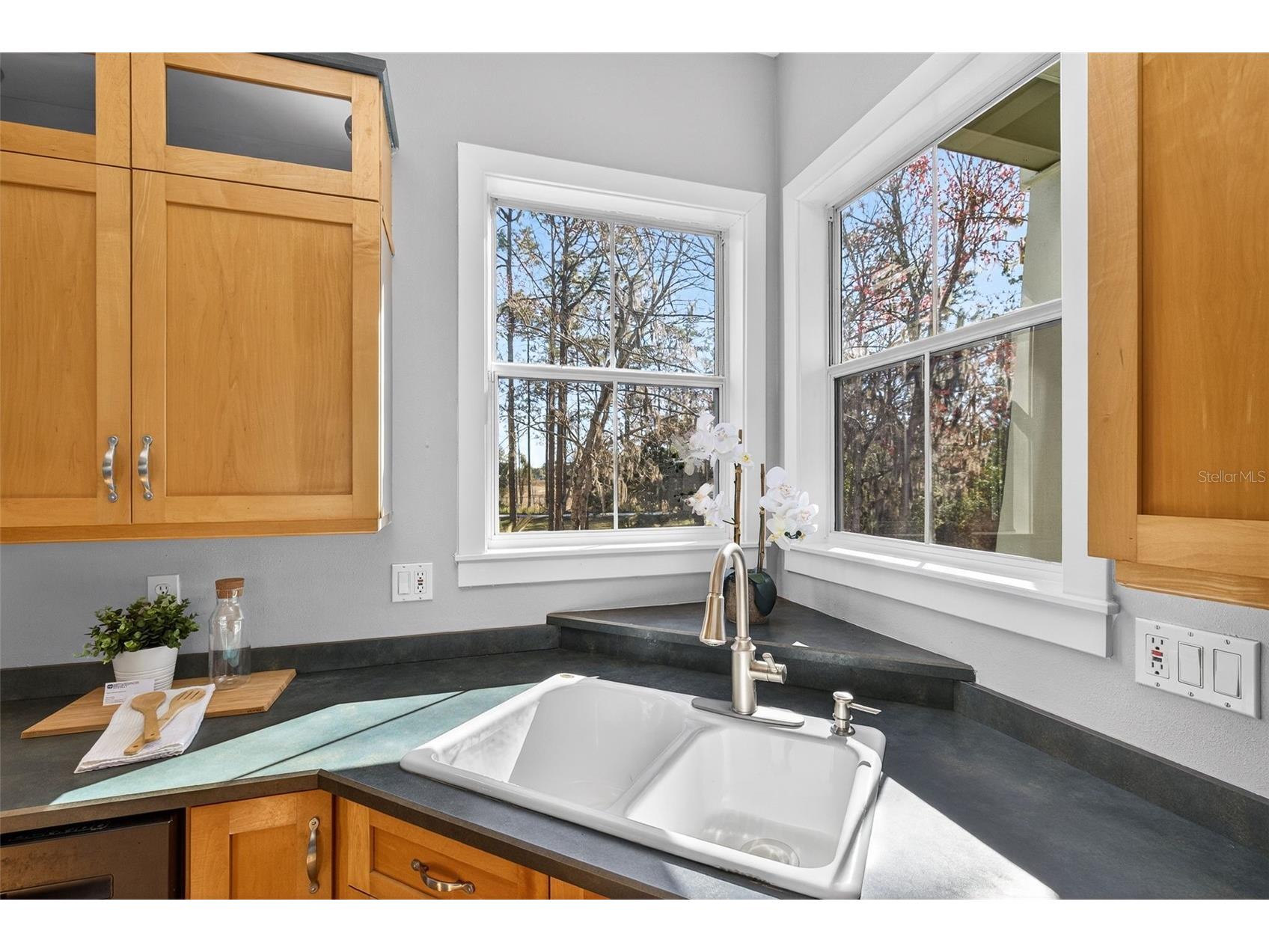 1041 S Belfast Place Chuluota FL 32766 - LAKE PICKETT O6359859 image16