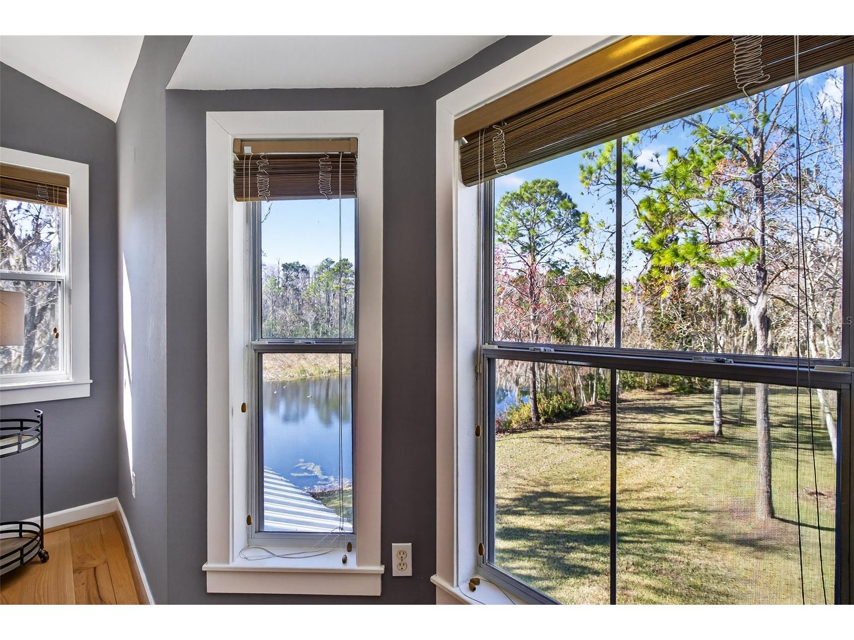 1041 S Belfast Place Chuluota FL 32766 - LAKE PICKETT O6359859 image27