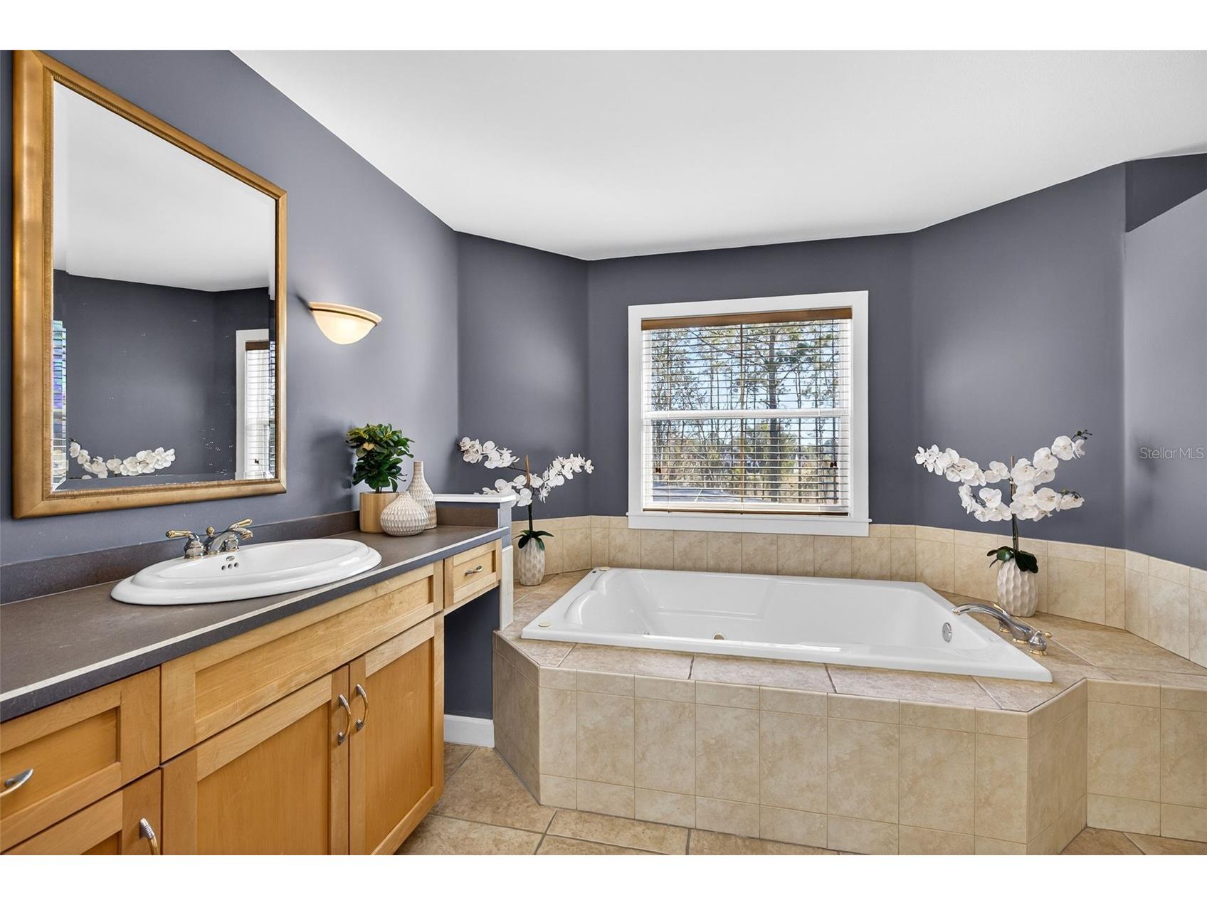 1041 S Belfast Place Chuluota FL 32766 - LAKE PICKETT O6359859 image29