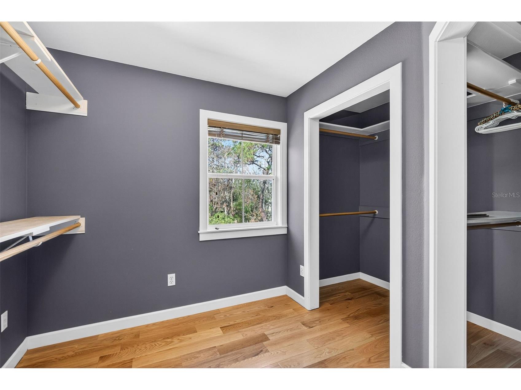 1041 S Belfast Place Chuluota FL 32766 - LAKE PICKETT O6359859 image31