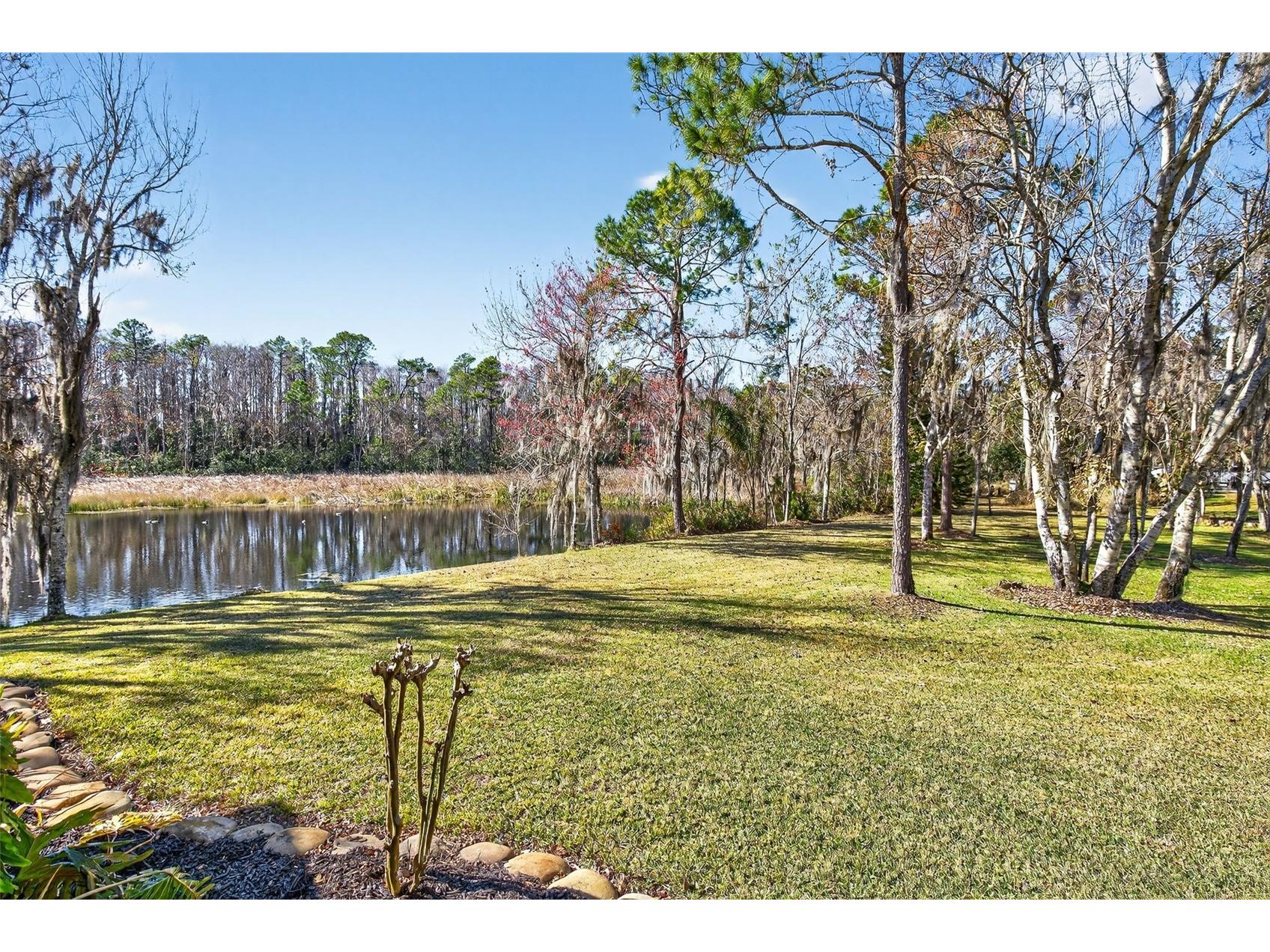 1041 S Belfast Place Chuluota FL 32766 - LAKE PICKETT O6359859 image47