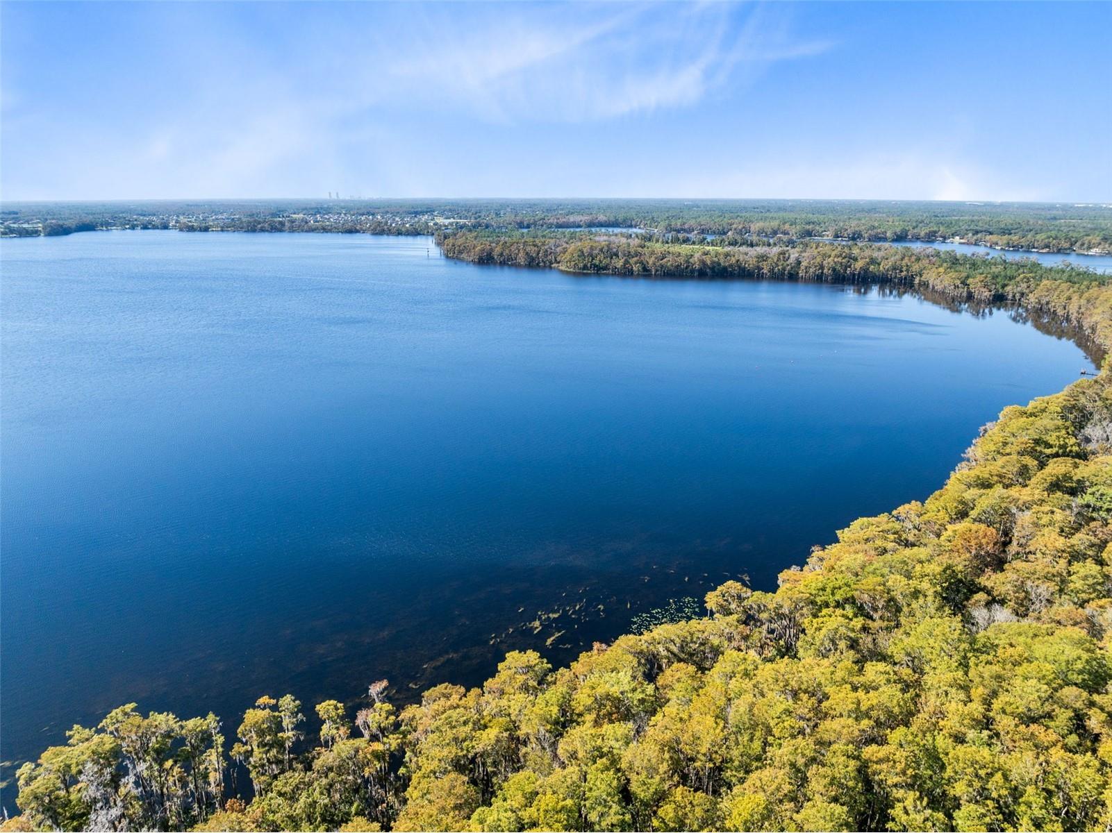 1041 S Belfast Place Chuluota FL 32766 - LAKE PICKETT O6359859 image54