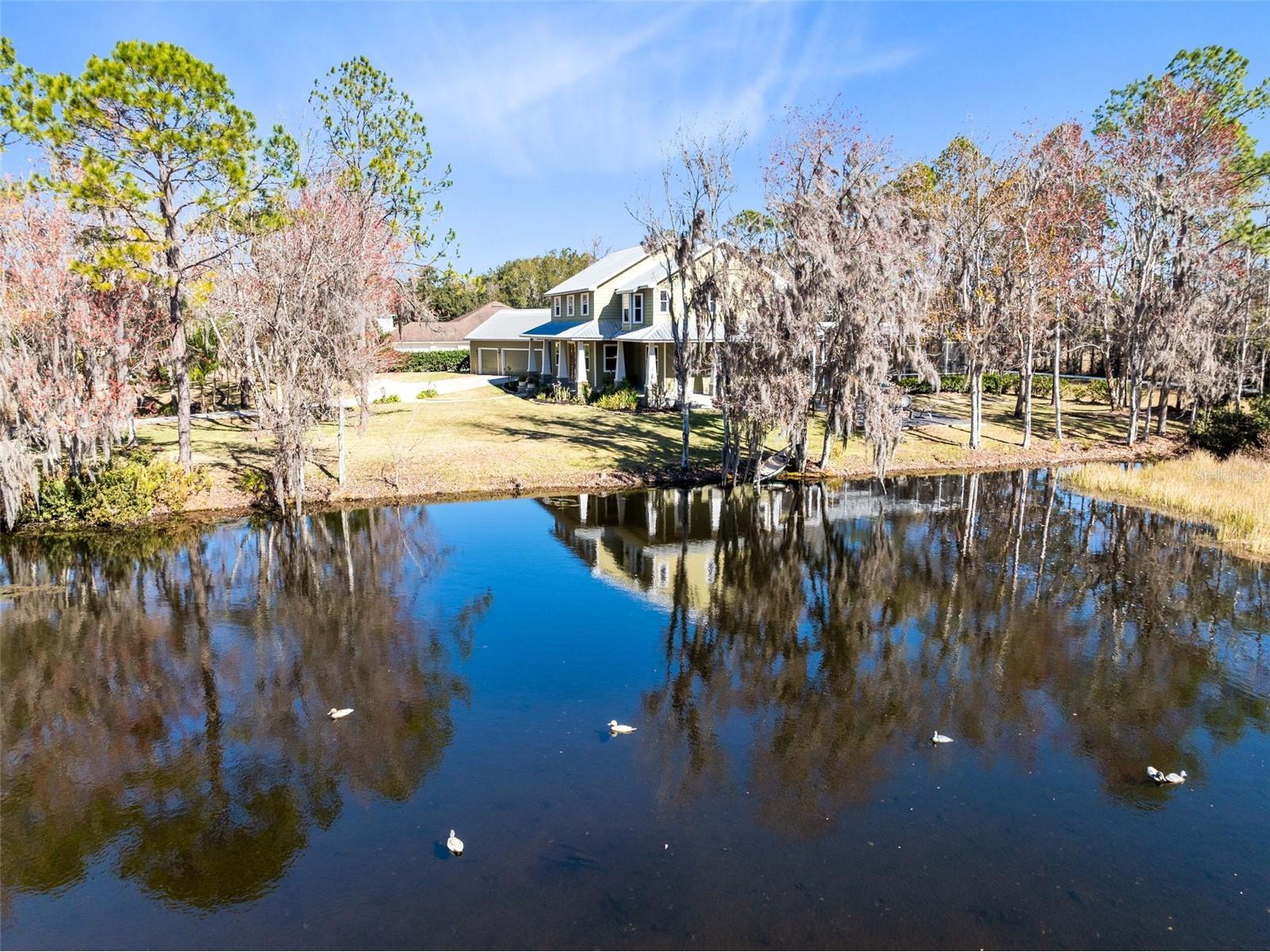 1041 S Belfast Place Chuluota FL 32766 - LAKE PICKETT O6359859 image57