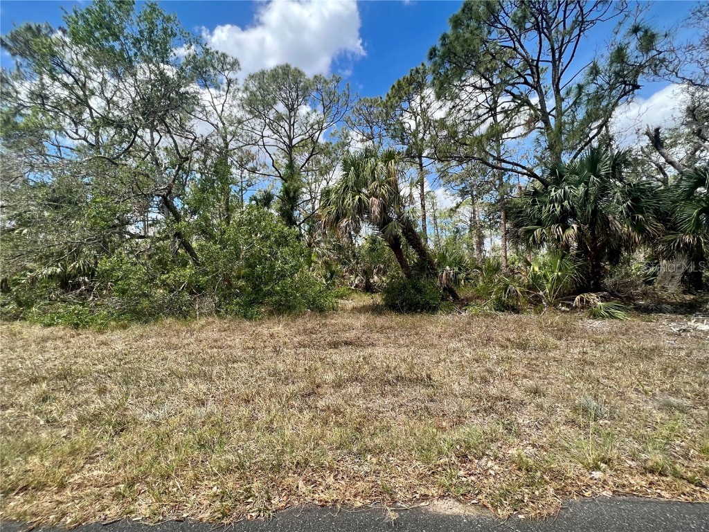 1041 Sherwin Street Port Charlotte FL 33953 C7506804 image1