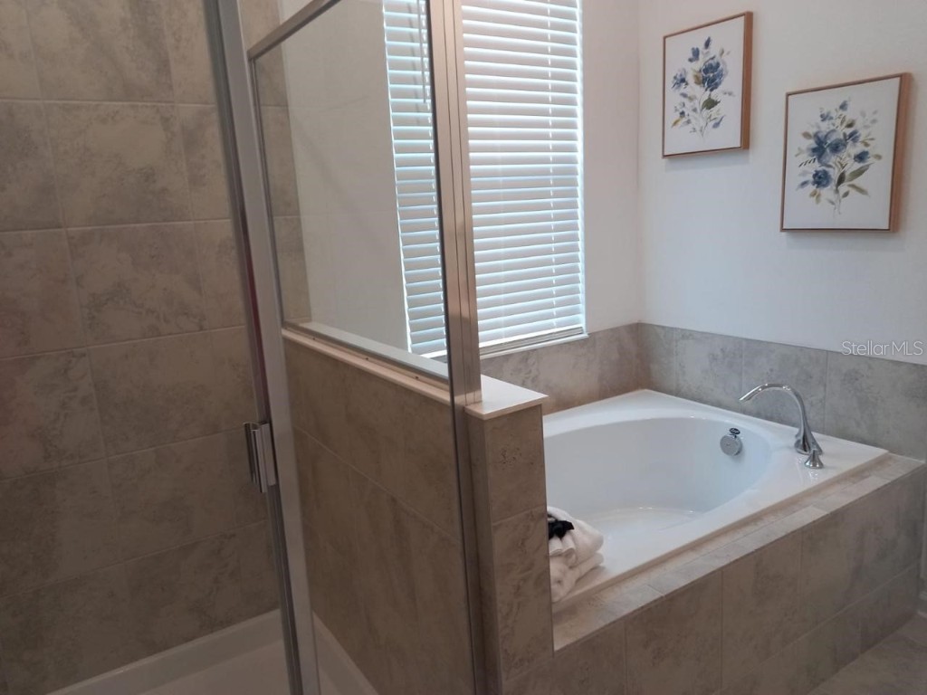 1041 Splash Shot Place #1041 Davenport FL 33896 S5137180 image10