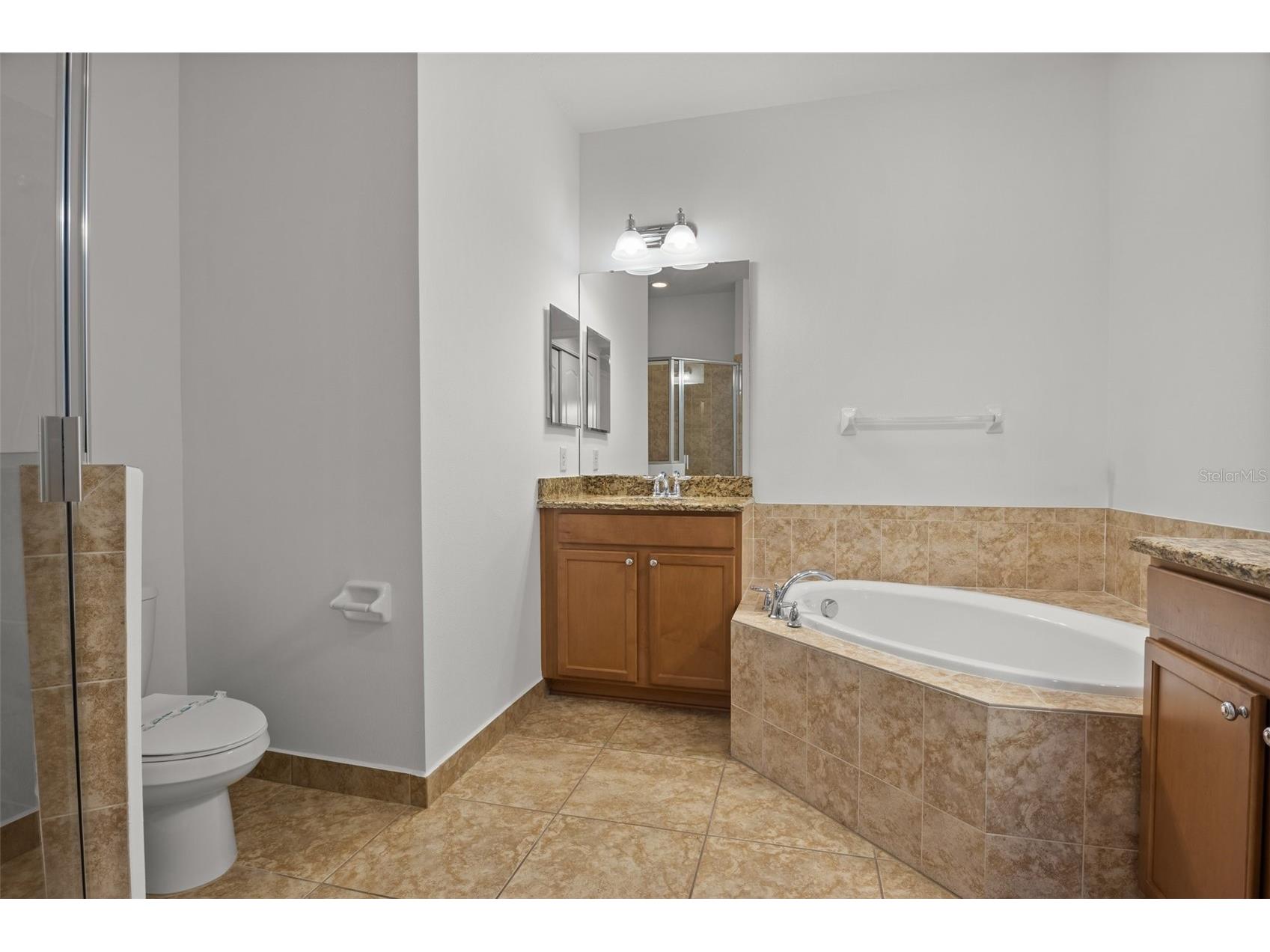 10410 Belfry Circle Orlando FL 32832 O6404799 image20