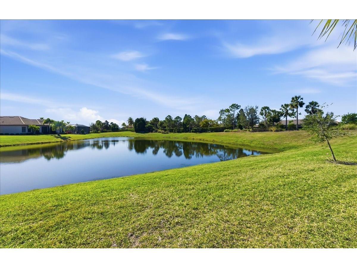 10410 Inglenook Terrace Palmetto FL 34221 A4681281 image79