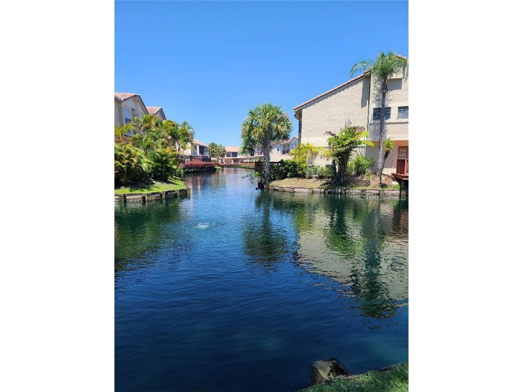 10410 La Mirage Court #104 Tampa FL 33615 TB8407786 image23