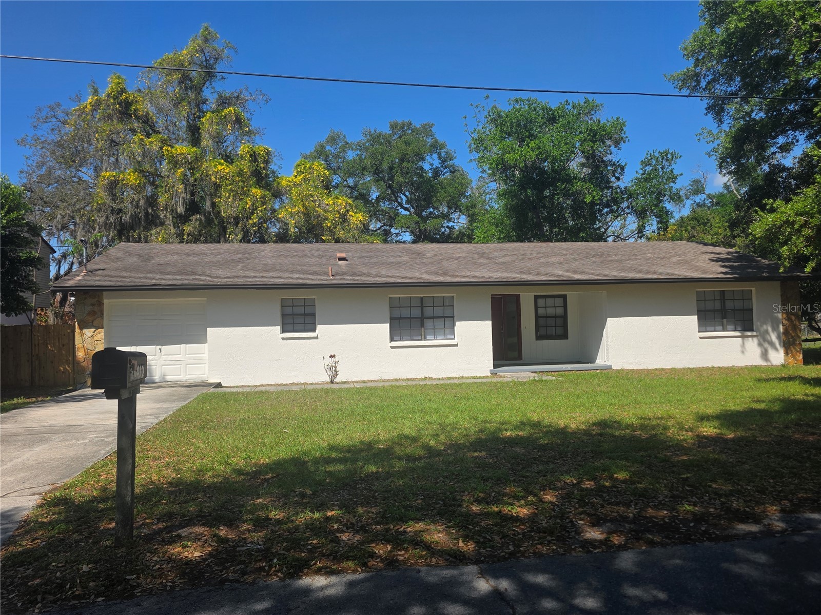 10410 N Ojus Drive Tampa FL 33617 TB8491663 image2