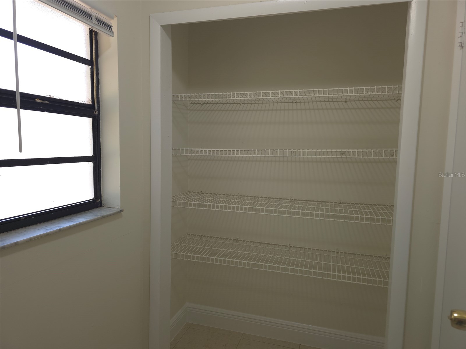 10410 N Ojus Drive Tampa FL 33617 TB8491663 image22