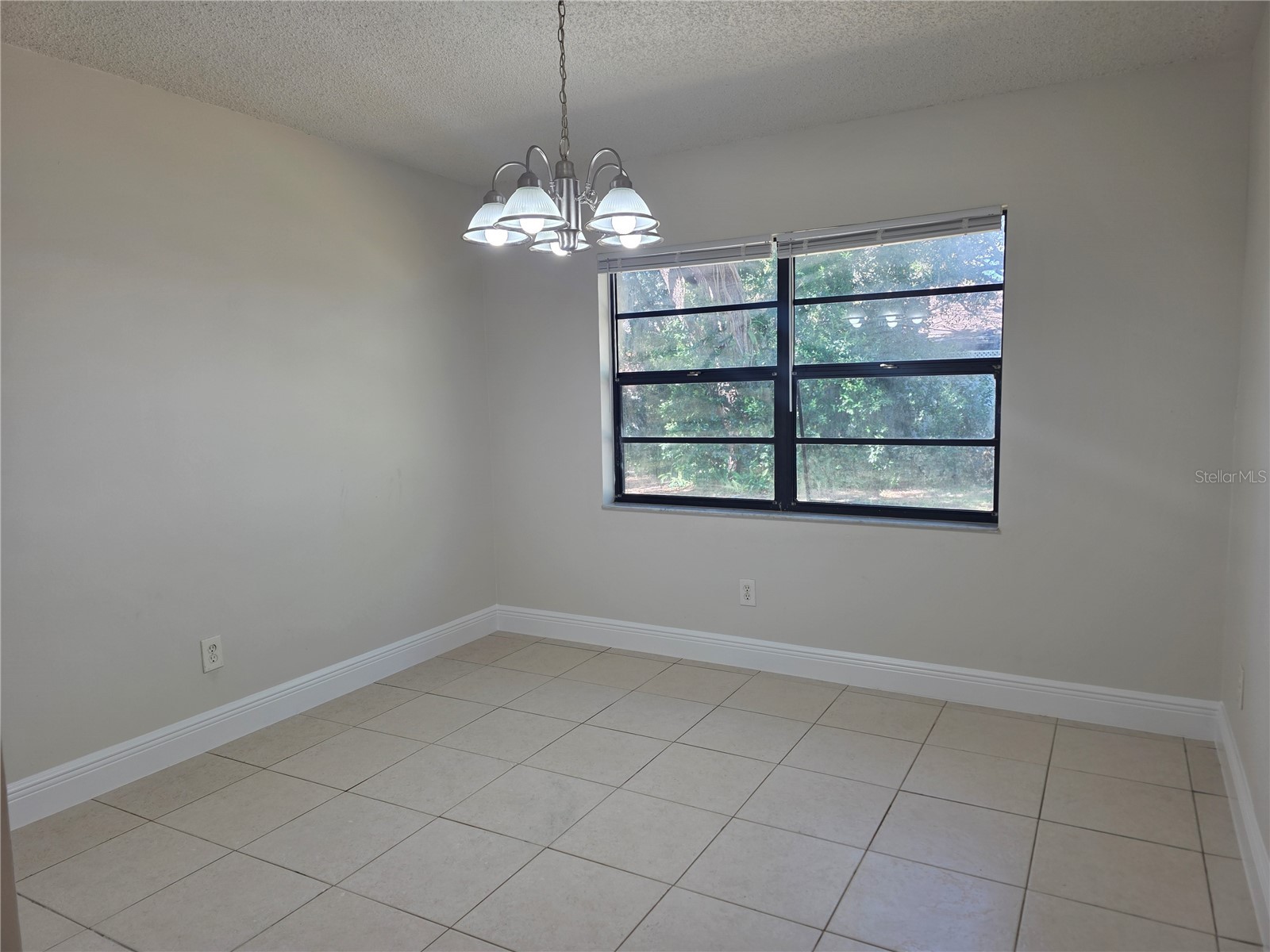 10410 N Ojus Drive Tampa FL 33617 TB8491663 image26