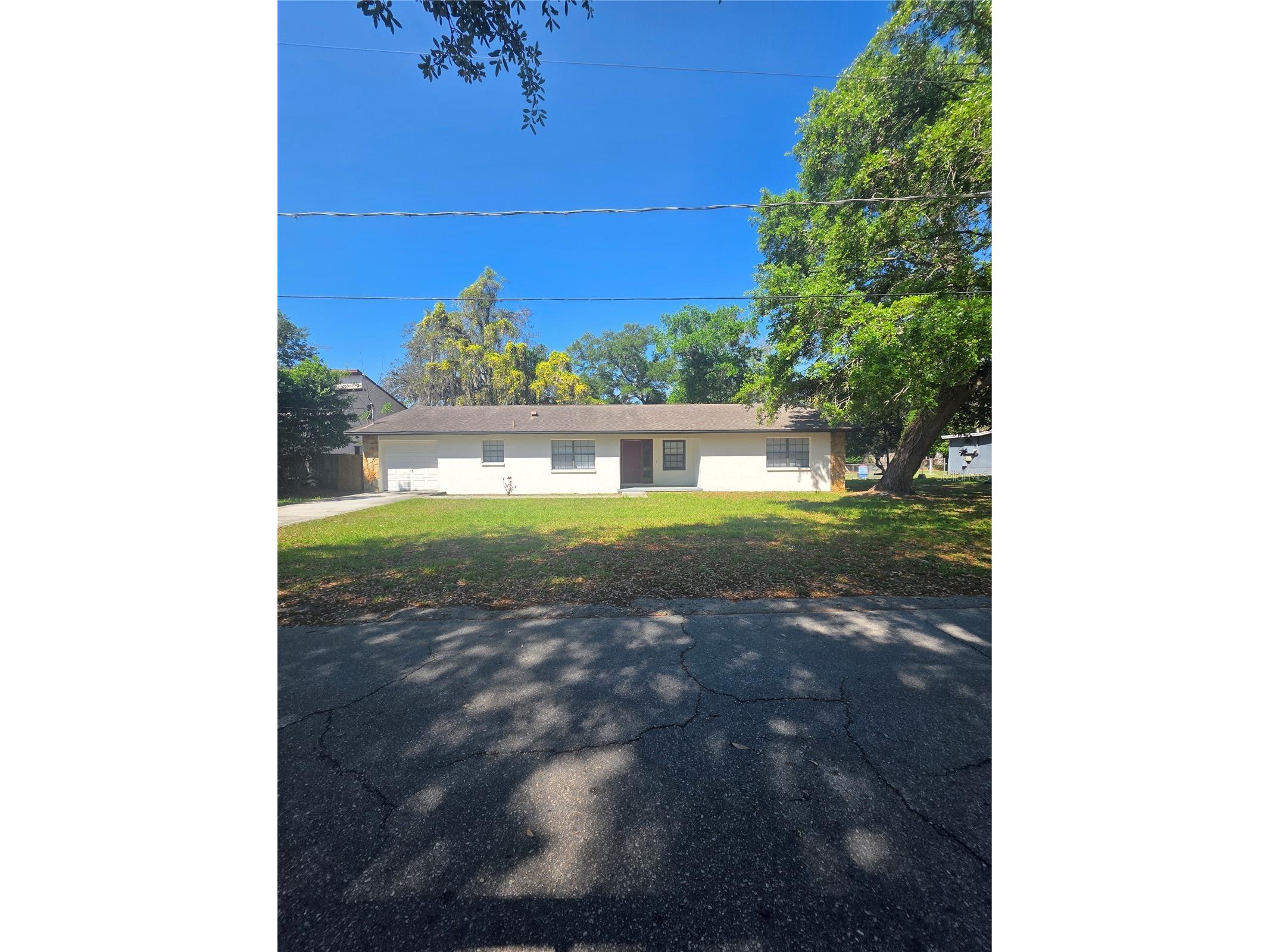 10410 N Ojus Drive Tampa FL 33617 TB8491663 image3