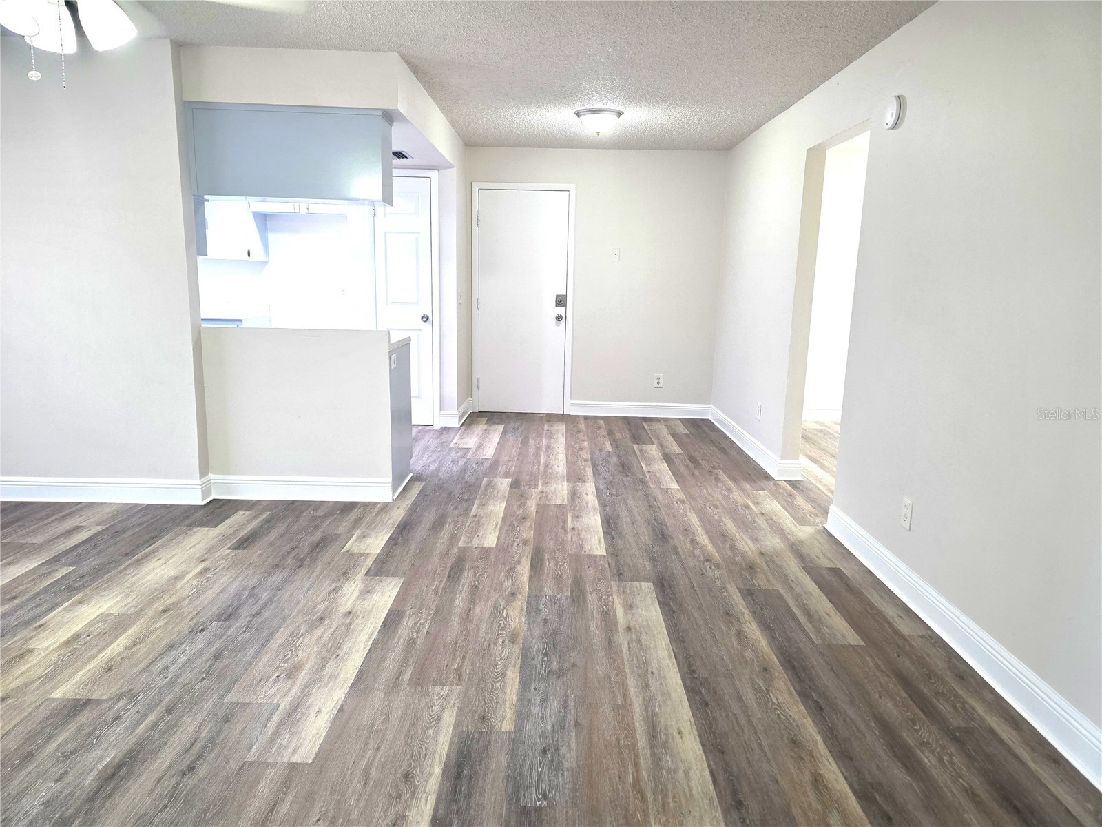 10410 N Ojus Drive Tampa FL 33617 TB8491663 image5
