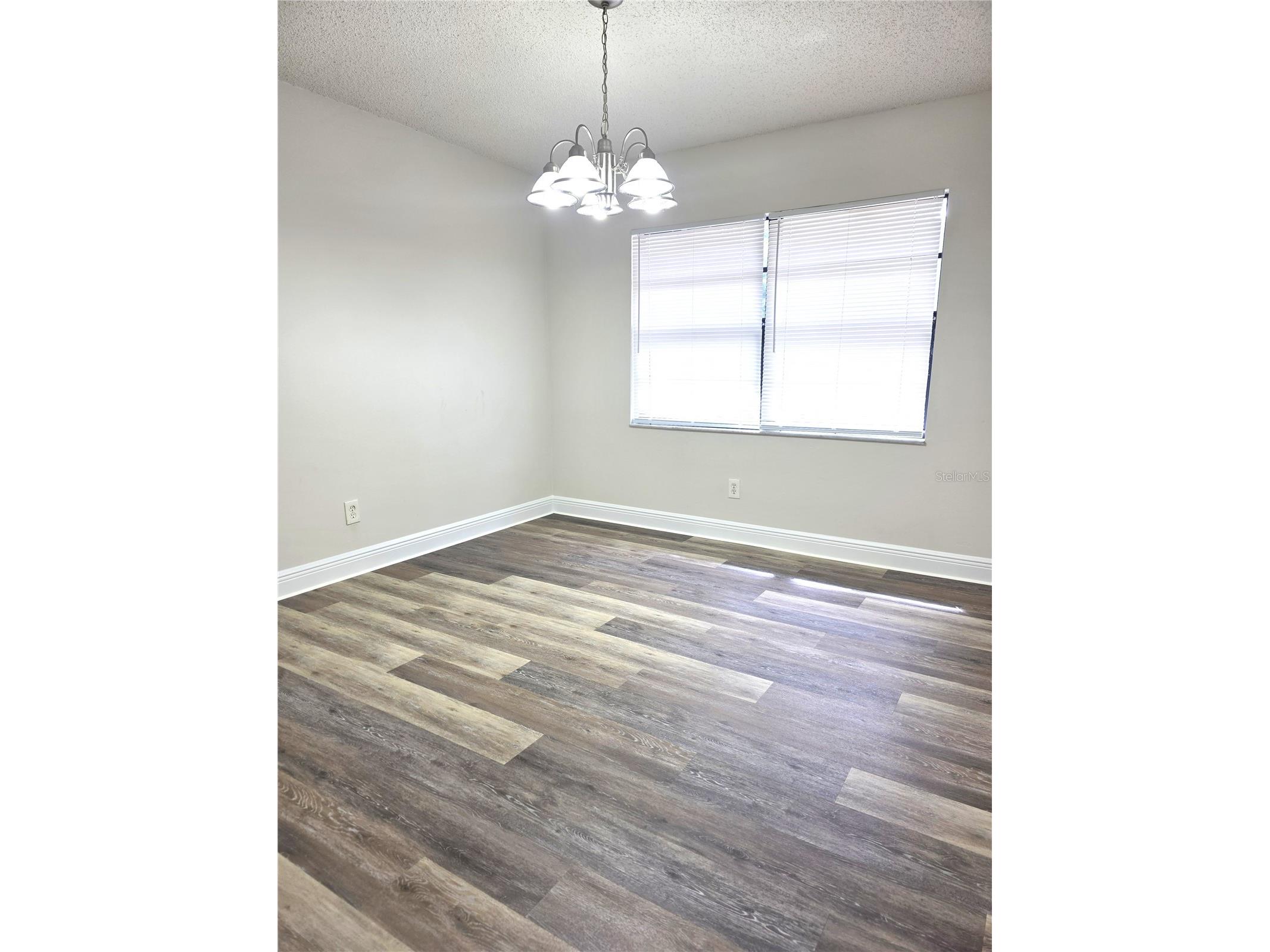 10410 N Ojus Drive Tampa FL 33617 TB8491663 image6