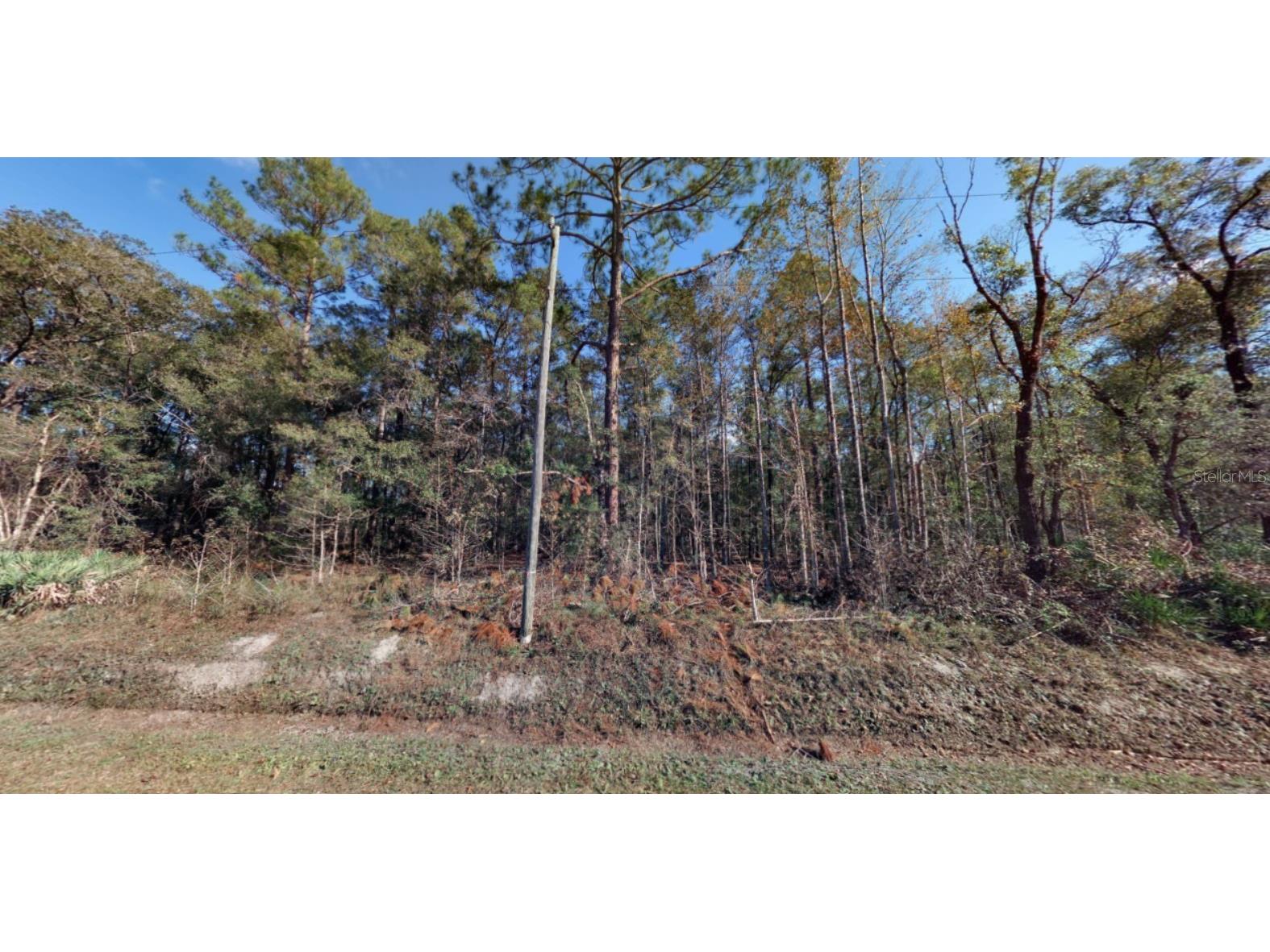 10410 Vaughan Avenue Hastings FL 32145 FC314927 image1