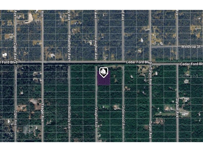 10410 Vaughan Avenue Hastings FL 32145 FC314927 image2