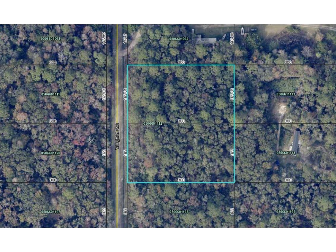 10410 Vaughan Avenue Hastings FL 32145 FC314927 image4