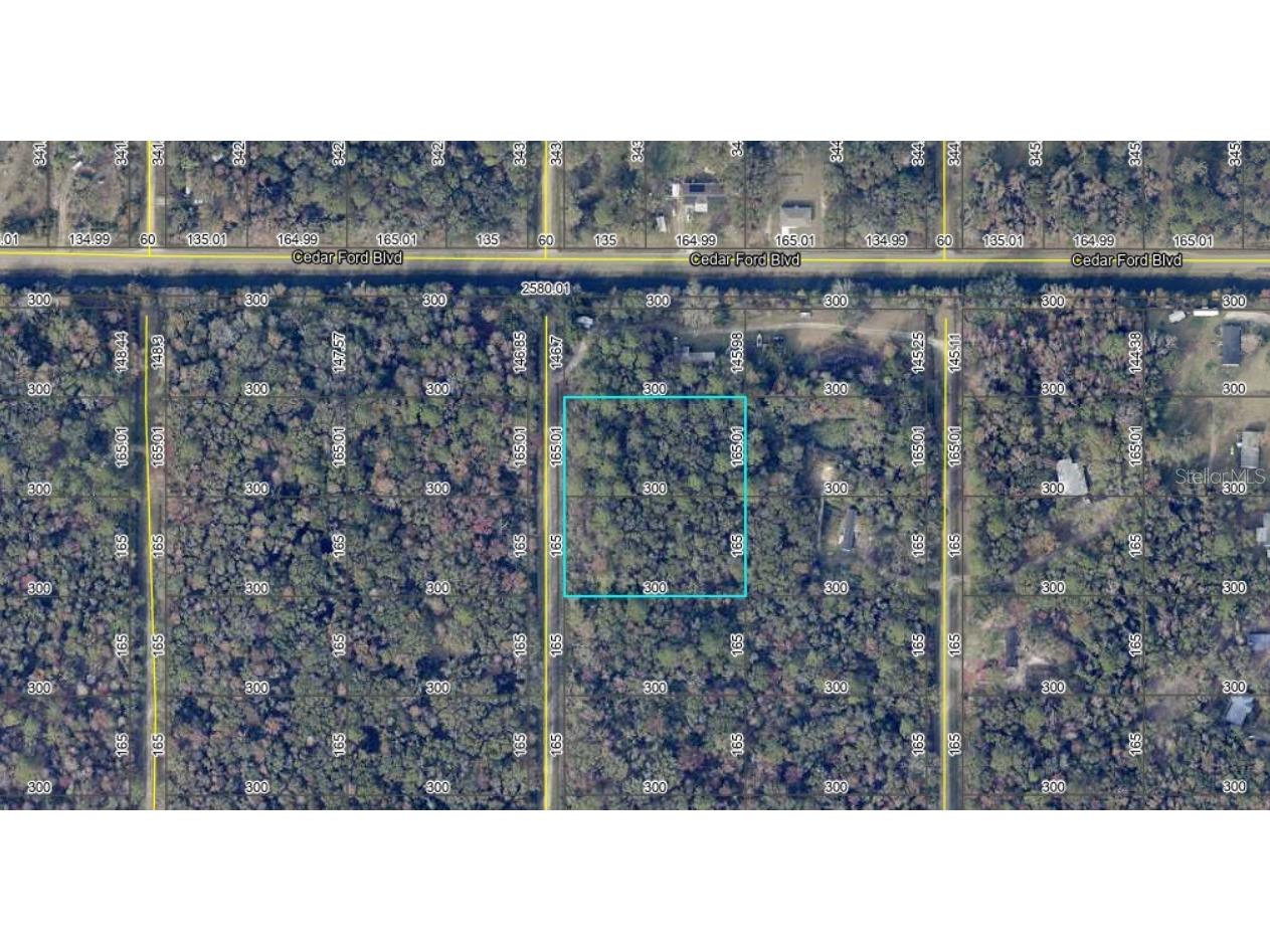 10410 Vaughan Avenue Hastings FL 32145 FC314927 image5