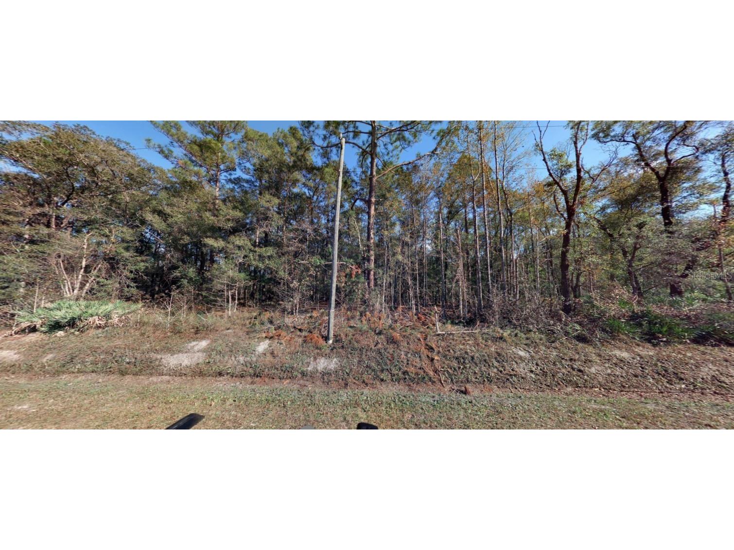 10410 Vaughan Avenue Hastings FL 32145 FC314927 image6