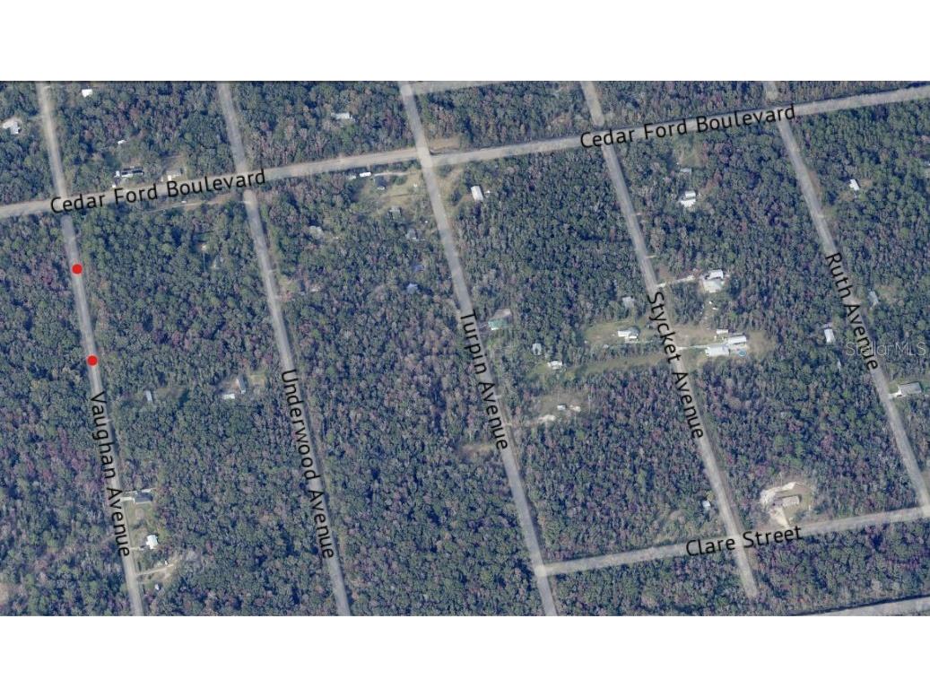 10410 Vaughan Avenue Hastings FL 32145 FC314927 image7