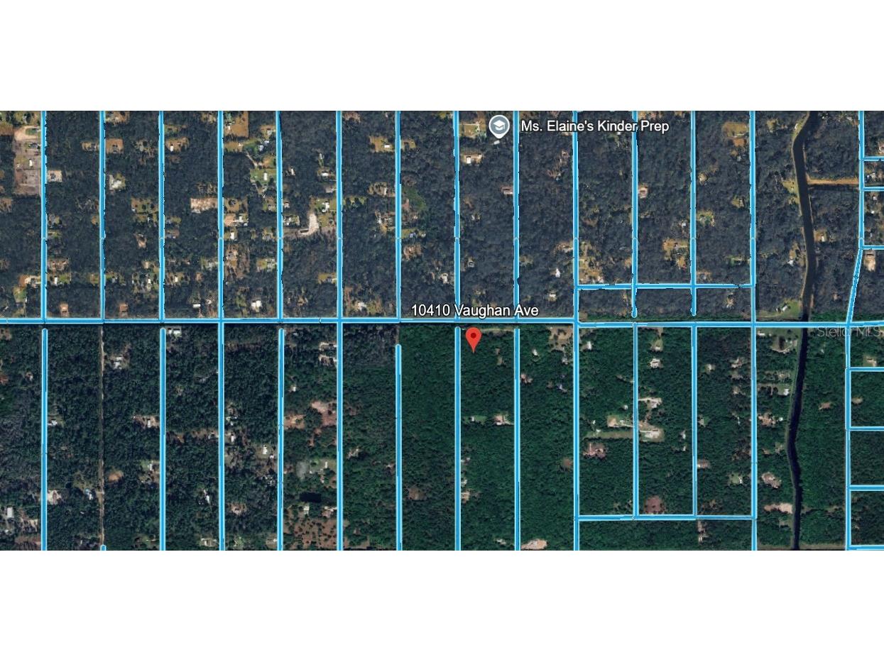 10410 Vaughan Avenue Hastings FL 32145 FC314927 image9