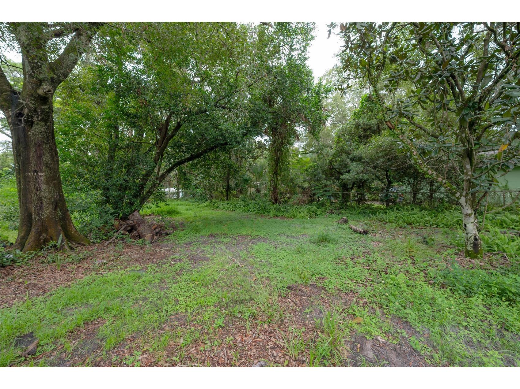 10411 1/2 N Woodmere Road Tampa FL 33617 TB8477245 image2