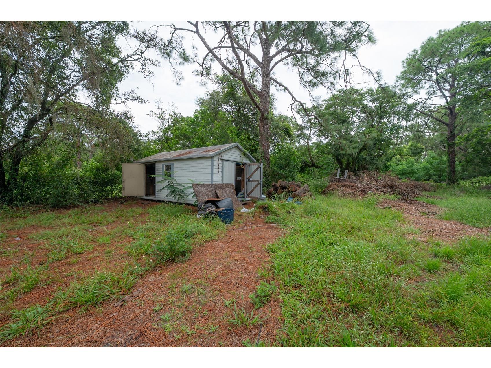 10411 1/2 N Woodmere Road Tampa FL 33617 TB8477245 image3