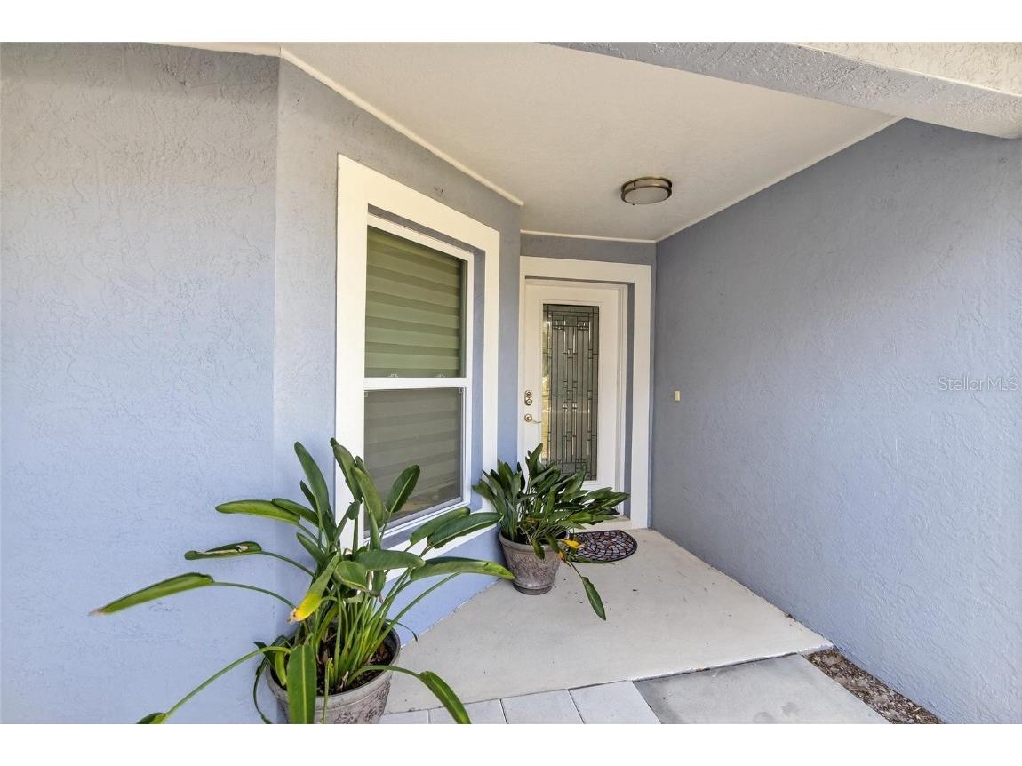 10411 Brushfield Street Riverview FL 33569 TB8448725 image37