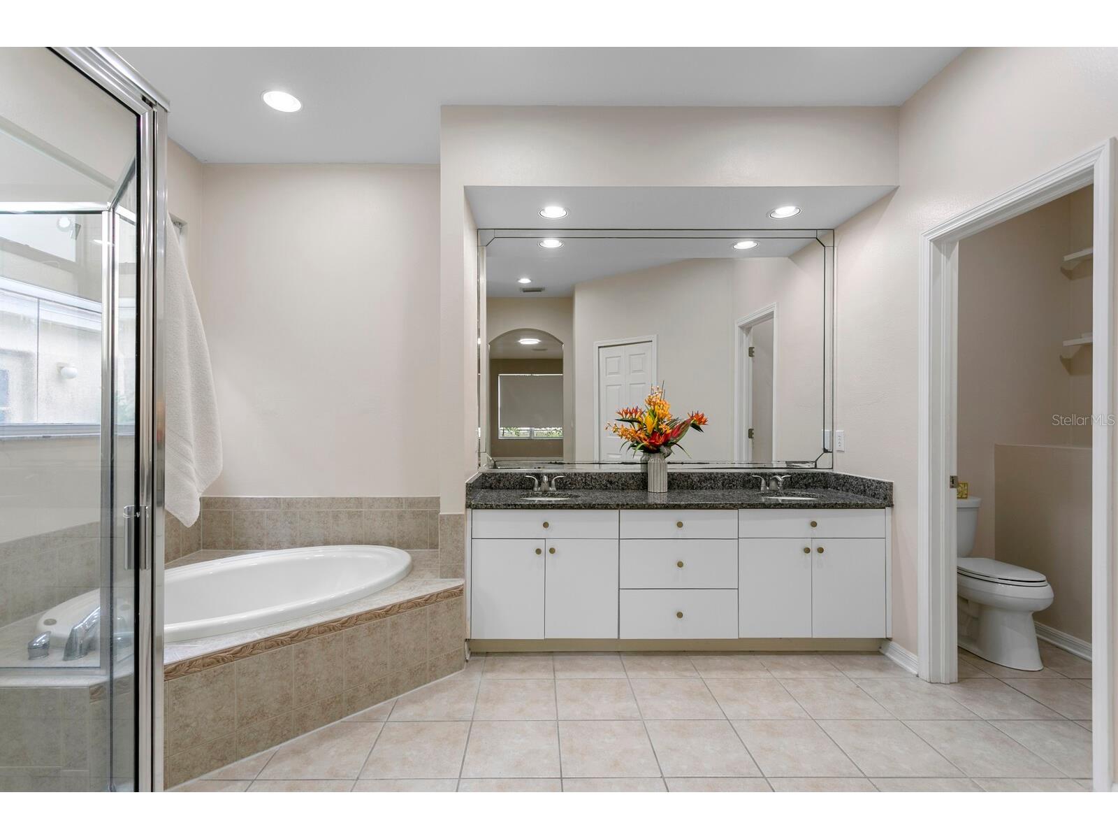 10411 Canary Isle Drive Tampa FL 33647 TB8523683 image12