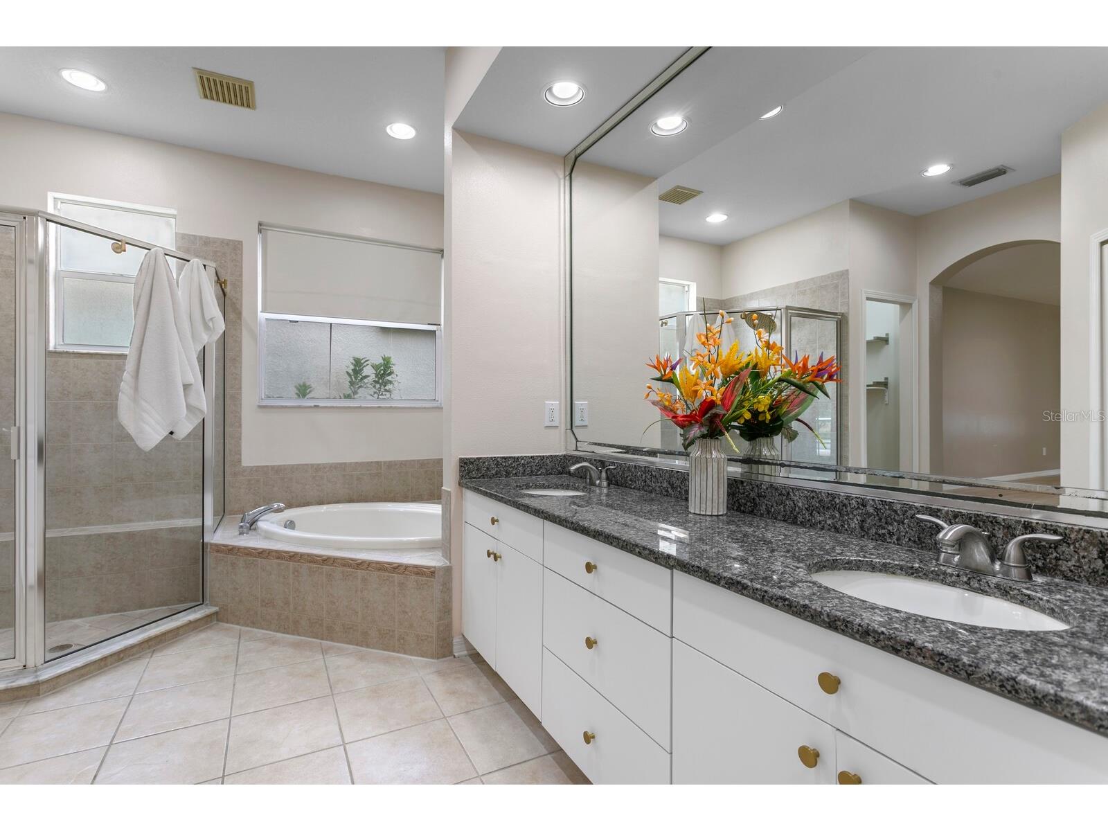 10411 Canary Isle Drive Tampa FL 33647 TB8523683 image13