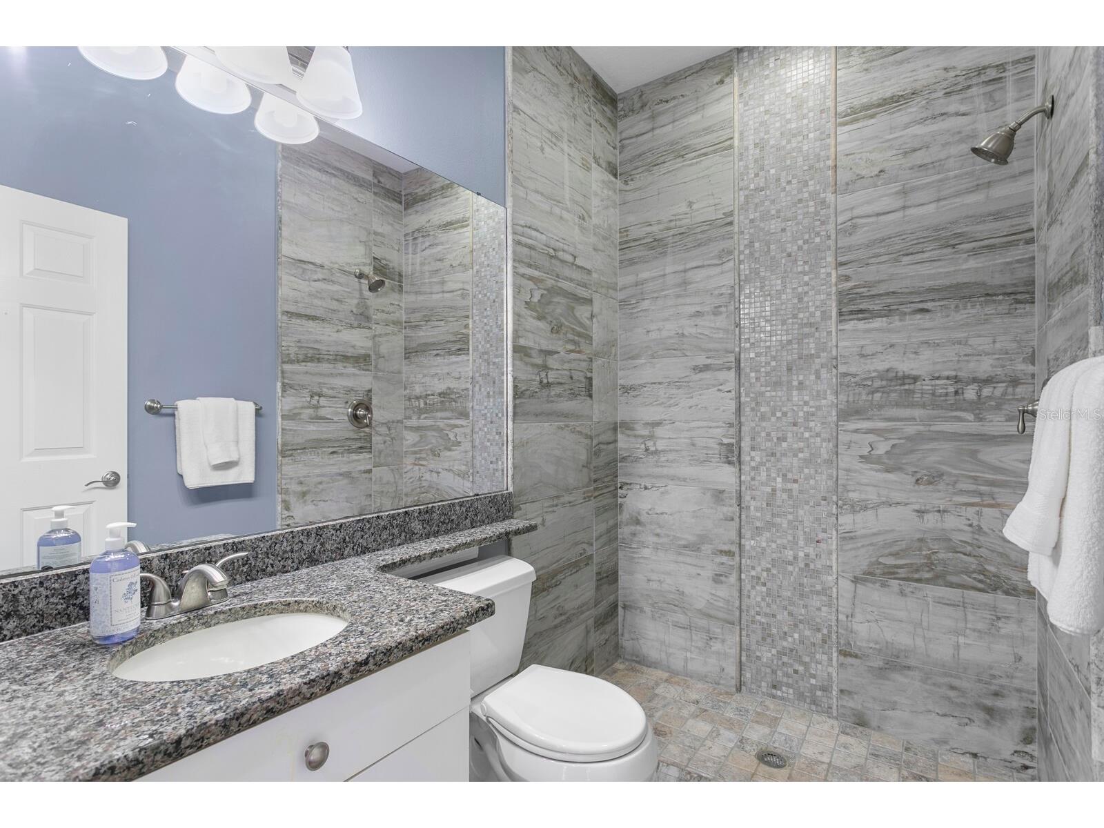 10411 Canary Isle Drive Tampa FL 33647 TB8523683 image23